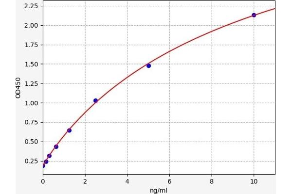 PDE1C ELISA 试剂盒