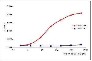 Titration curve of ABIN235671 specific to NP of Influenza B virus in indirect ELISA. (Influenza Nucleoprotein 抗体 (Influenza B Virus))