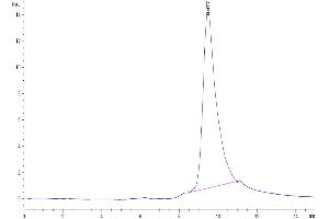 The purity of Mouse APCDD1 is greater than 95 % as determined by SEC-HPLC.