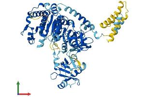 Protein Structure (PS) image for Solute Carrier Family 27 (Fatty Acid Transporter), Member 5 (SLC27A5) (AA 1-689) protein (His tag) (ABIN7563780)
