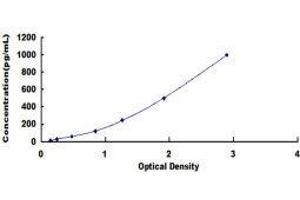 Neurofilament, Heavy Polypeptide (NEFH) ELISA Kit