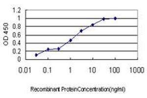 Detection limit for recombinant GST tagged CAPS is approximately 0. (Calcyphosine 抗体  (AA 1-109))