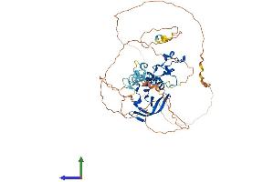Protein Structure (PS) image for CCR4-NOT Transcription Complex, Subunit 2 (CNOT2) (AA 1-540) protein (His tag) (ABIN7564517)