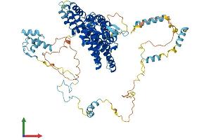 Protein Structure (PS) image for Activating Signal Cointegrator 1 Complex Subunit 2 (ASCC2) (AA 1-749) protein (His tag) (ABIN7560053)