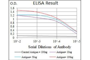 ELISA image for anti-Mitogen-Activated Protein Kinase 8 (MAPK8) antibody (ABIN1845583)