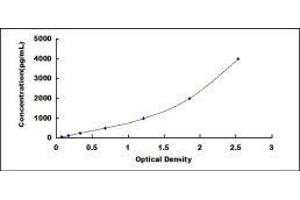 ELISA image for Collagen, Type I (COL1) ELISA Kit (ABIN414991)