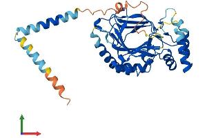 Protein Structure (PS) image for Aspartate beta-Hydroxylase Domain Containing 2 (ASPHD2) (AA 1-343) protein (His tag) (ABIN7558369)