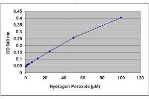 H2O2 Standard Curve (OxiSelect™ Monoamine Oxidase Assay Kit (Fluorometric))