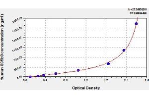 Typical Standard Curve (Soluble Terminal Complement Complex (sC5b-9) ELISA 试剂盒)