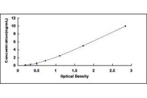 Typical standard curve (DNMT3A ELISA 试剂盒)