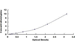 Typical standard curve (STAT1 ELISA 试剂盒)
