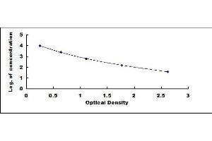 Image no. 1 for Cross-Linked C-Telopeptides of Type I Collagen (CTX-I) ELISA Kit (ABIN5665002)