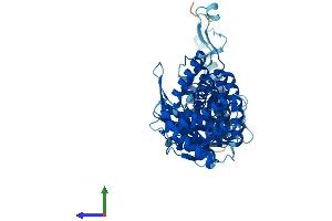 Protein Structure (PS) image for T-Complex Protein 1 Subunit zeta-2-Like (CCT6B) (AA 1-530) protein (His tag) (ABIN7544273)