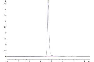 The purity of Mouse PLXNA1 is greater than 95 % as determined by SEC-HPLC.