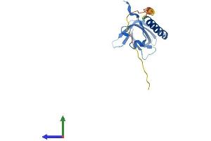 Protein Structure (PS) image for TEN1 Telomerase Capping Complex Subunit (TEN1) (AA 1-161) protein (His tag) (ABIN7564994)