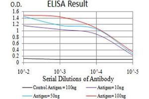 Black line: Control Antigen (100 ng), Purple line: Antigen(10 ng), Blue line: Antigen (50 ng), Red line: Antigen (100 ng), (CBX2 抗体  (AA 402-525))