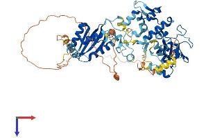 AlphaFold protein structure predicition of Human Recombinant PARP6 Protein, UniprotID Q2NL67
