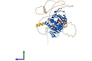 Protein Structure (PS) image for Phosphatidylinositol-4-Phosphate 5-Kinase, Type I, beta (PIP5K1B) (AA 1-539) protein (His tag) (ABIN7556668)