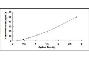 Typical standard curve (GRP78 ELISA 试剂盒)
