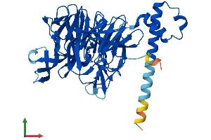Protein Structure (PS) image for Kelch Domain Containing 1 (KLHDC1) (AA 1-406) protein (His tag) (ABIN7548899)