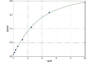 Angiomotin Like 1 (AMOTL1) ELISA Kit