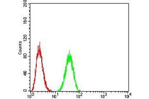 Flow cytometric analysis of A549 cells using BMP2 mouse mAb (green) and negative control (red). (BMP2 抗体  (AA 283-396))