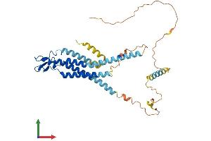 Protein Structure (PS) image for Gap Junction Protein, alpha 5, 40kDa (GJA5) (AA 1-358) protein (His tag) (ABIN7546926)
