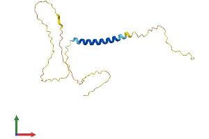 AlphaFold protein structure predicition of Mouse Recombinant Gypa Protein, UniprotID P14220