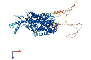 AlphaFold protein structure predicition of Mouse Recombinant Slc6a15 Protein, UniprotID Q8BG16