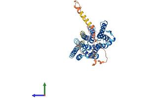 Protein Structure (PS) image for Solute Carrier Family 35, Member D3 (SLC35D3) (AA 1-416) protein (His tag) (ABIN7545877)