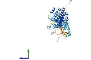 Protein Structure (PS) image for Polymerase (RNA) I Polypeptide E, 53kDa (POLR1E) (AA 1-482) protein (His tag) (ABIN7559485)