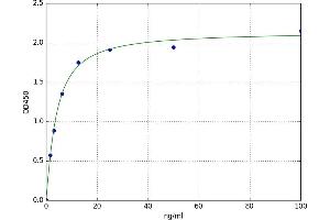 Hemoglobin, alpha 1 (HBA1) ELISA Kit