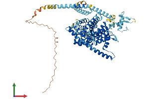 Protein Structure (PS) image for Solute Carrier Family 28 (Sodium-Coupled Nucleoside Transporter), Member 2 (SLC28A2) (AA 1-658) protein (His tag) (ABIN7555351)