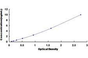 Claudin 4 (CLDN4) ELISA Kit