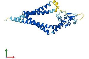 Protein Structure (PS) image for CD82 (CD82) (AA 1-267) protein (His tag) (ABIN7553026)