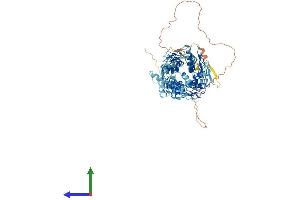 Protein Structure (PS) image for Zinc Finger Protein 84 (ZNF84) (AA 1-738) protein (His tag) (ABIN7545368)