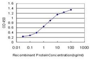 Detection limit for recombinant GST tagged ABL2 is approximately 0. (ABL2 抗体  (AA 743-842))