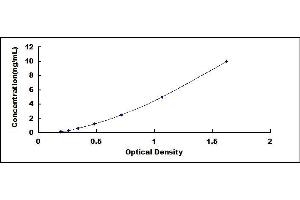 Typical standard curve (BIRC7 ELISA 试剂盒)