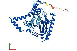 AlphaFold protein structure predicition of Human Recombinant MOGAT3 Protein, UniprotID Q86VF5