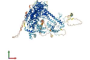Protein Structure (PS) image for Polymerase (DNA Directed), gamma (POLG) (AA 1-1239) protein (His tag) (ABIN7553702)