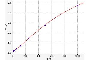 Urocortin (UCN) ELISA Kit