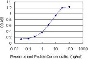 Detection limit for recombinant GST tagged FOXA2 is approximately 0. (FOXA2 抗体  (AA 363-457))