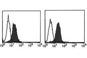 Flow Cytometry (FACS) image for anti-MHC Class I Polypeptide-Related Sequence A (MICA) antibody (ABIN1108243) (MICA 抗体)