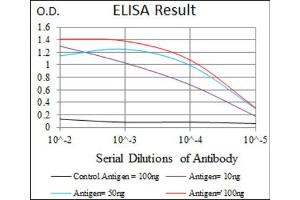Red: Control Antigen (100ng) ; Purple: Antigen (10ng) ; Green: Antigen (50ng) ; Blue: Antigen (100ng). (IGF2 抗体  (AA 25-180))