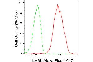 Flow cytometric analysis of ILVBL expression in HepG2 cells using ILVBL antibody (ABIN7799022), 1:2,000). (ILVBL 抗体)