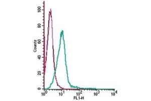 Cell surface detection of GPR35 by indirect flow cytometry in live intact mouse BV-2 microglia cell line: (black line) Cells. (GPR35 抗体  (Extracellular))
