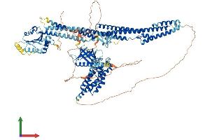 Protein Structure (PS) image for MCF.2 Cell Line Derived Transforming Sequence-Like (MCF2L) (AA 1-1137) protein (His tag) (ABIN7554544)