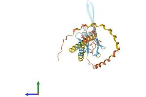 Protein Structure (PS) image for Outer Dense Fiber of Sperm Tails 1 (ODF1) (AA 1-247) protein (His tag) (ABIN7557752)