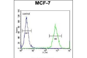 Flow cytometric analysis of MCF-7 cells (right histogram) compared to a negative control cell (left histogram).