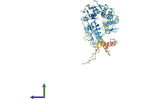 AlphaFold protein structure predicition of Human Recombinant ZNF320 Protein, UniprotID A2RRD8